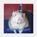 Pesquisar por aniversario feliz rato Animais