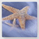 Pesquisar por borrão porta copos Azul