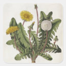 Pesquisar por gravuras adesivos Belas artes