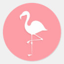 Pesquisar por desenho flamingo Fofofo