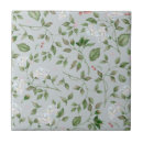 Pesquisar por flores azuis azulejos Natureza