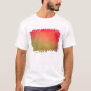 Pesquisar por aurora boreal camisetas Colorido