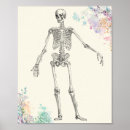 Pesquisar por diagrama médico pôsteres Biologia