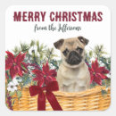 Pesquisar por pug natal adesivos Animal de estimação