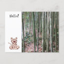 Pesquisar por bambu cartoes postais Selva