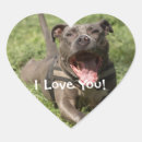 Pesquisar por pitbull adesivos Amante do cão