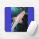 Pesquisar por shark eletronicos Tubarão