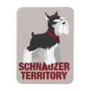 Pesquisar por do cão schnauzer imas Diminuto