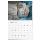 Pesquisar por sono calendarios Gatinho
