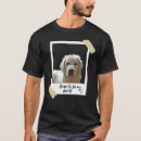 Pesquisar por natal golden retriever roupas Fofo