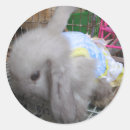 Pesquisar por coelho kawaii adesivos Engraçado