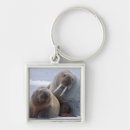 Pesquisar por morse chaveiros Animal