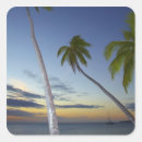 Pesquisar por crepúsculo adesivos Frango