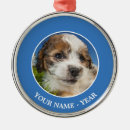 Pesquisar por shitzu ornamentos Animais