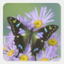 Pesquisar por borboletas exóticas adesivos Exótico