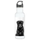 Pesquisar por cão garrafa agua animal