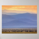 Pesquisar por migração pôsteres Vida selvagem