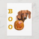 Pesquisar por natal dachshund cartoes postais Cão