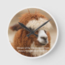 Pesquisar por alpacas relogios de parede Fazenda