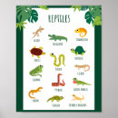 Pesquisar por répteis pósteres pôsteres For kids