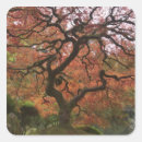 Pesquisar por o japonês adesivos Cor