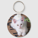 Pesquisar por corrente chave bonito Gatinho