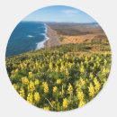 Pesquisar por oceano pacífico adesivos Céu azul