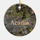 Pesquisar por cadillac ornamentos Acadia national park