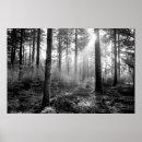 Pesquisar por místico pôsteres Natureza