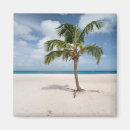 Pesquisar por aruba imas Praia tropical