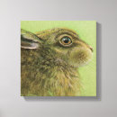 Pesquisar por coelhos coelho animais impressão de canvas Pintura