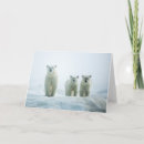 Pesquisar por urso polar bonito cartoes Animal