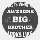 Pesquisar por irmão mais novo adesivos Grande