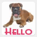 Pesquisar por greetings adesivos Cachorrinho