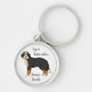 Pesquisar por cão de montanha bernese chaveiros Bernês