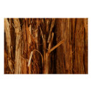 Pesquisar por textura de madeira pôsteres Qualquer pessoa