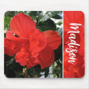 Pesquisar por flor do hibiscus eletronicos Floral