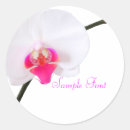Pesquisar por orquídea branca adesivos Monograma