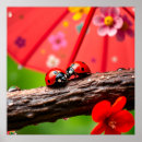 Pesquisar por guarda chuva vermelho pôsteres Flores