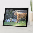 Pesquisar por tigre engraçado cartoes Tigres