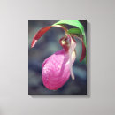 Pesquisar por orquídea impressão de canvas Fotografia