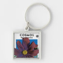 Pesquisar por cosmos chaveiros Jardim