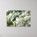Pesquisar por arbusto impressão de canvas Flor