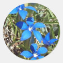 Pesquisar por flor suíça adesivos Alpes suíços