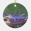 Pesquisar por jacaré ornamentos Crocodilo