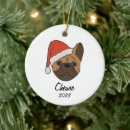 Pesquisar por frenchies ornamentos For pets