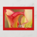 Pesquisar por calla cartoes postais Floral