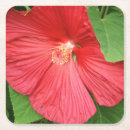 Pesquisar por flores brilhantes porta copos Natureza