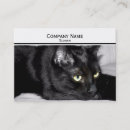Pesquisar por gato bonito cartao de visita Preto