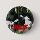 Pesquisar por alf Animais